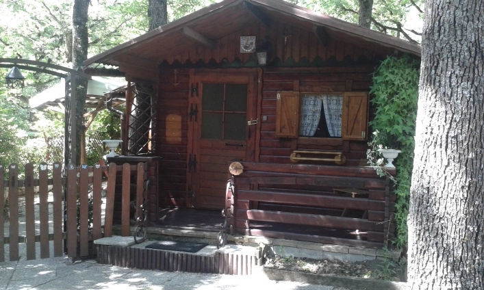 zobacz camping - zdjęcie 17