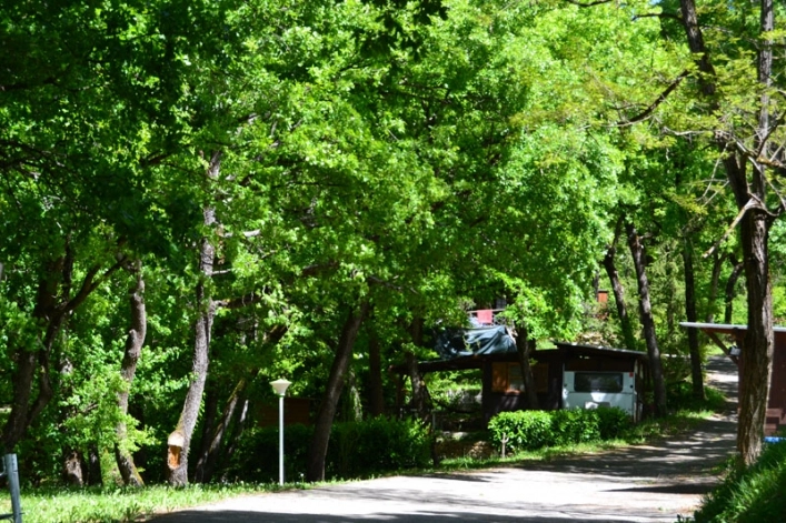 Camping le Querce - zdjęcie 3