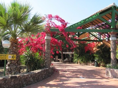 zobacz camping - zdjęcie 22