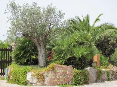 zobacz camping - zdjęcie 19