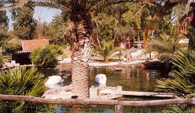 zobacz camping - zdjęcie 12