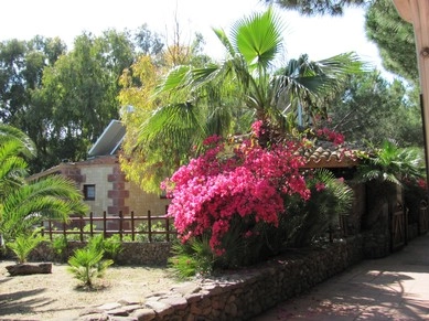 zobacz camping - zdjęcie 10