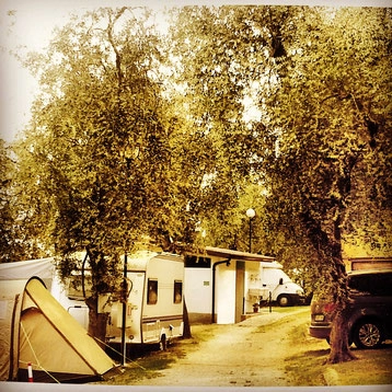 zobacz camping - zdjęcie 26
