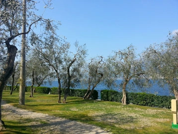 zobacz camping - zdjęcie 16