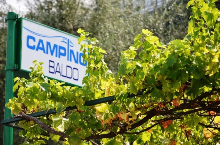 zobacz camping - zdjęcie 9