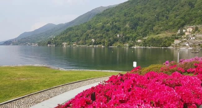 zobacz camping - zdjęcie 6