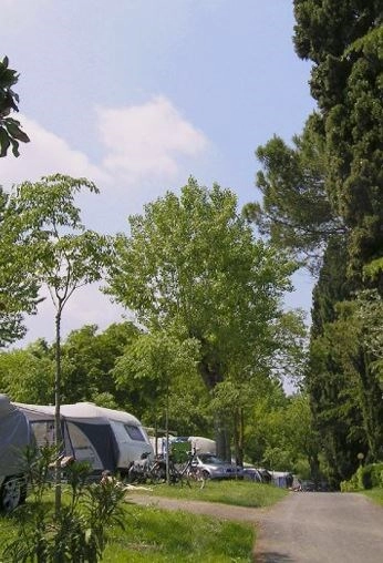 zobacz camping - zdjęcie 46