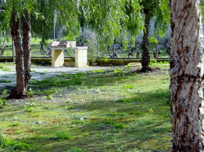 zobacz camping - zdjęcie 28