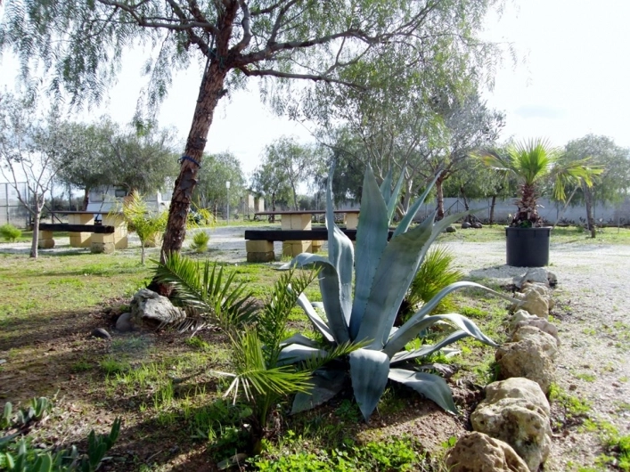 zobacz camping - zdjęcie 27