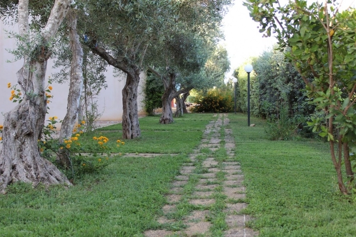 zobacz camping - zdjęcie 26