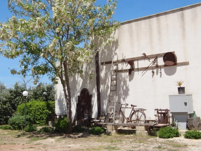 zobacz camping - zdjęcie 25