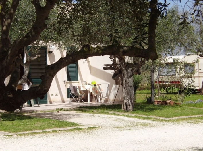 zobacz camping - zdjęcie 19