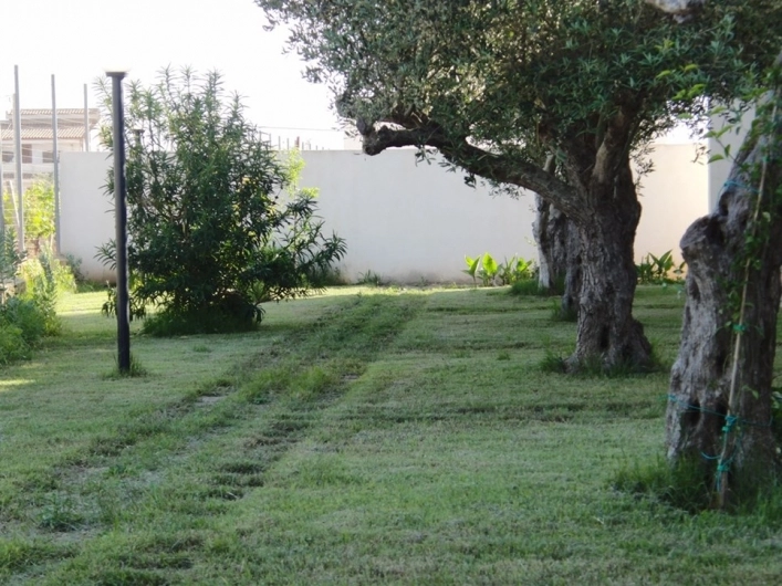 zobacz camping - zdjęcie 18