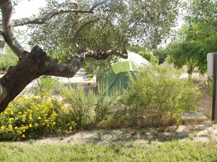 zobacz camping - zdjęcie 16