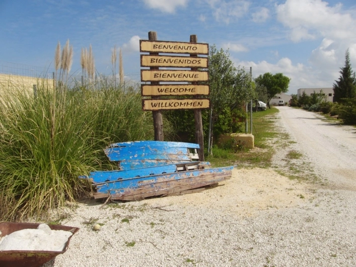 zobacz camping - zdjęcie 9