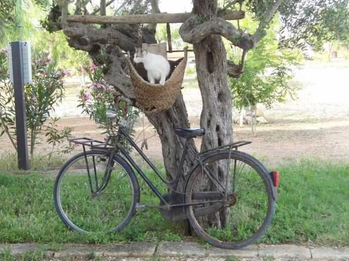 zobacz camping - zdjęcie 2