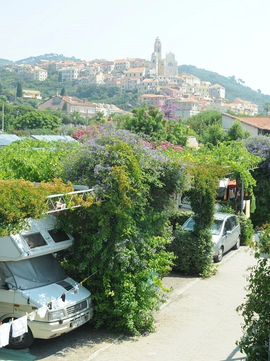 zobacz camping - zdjęcie 13