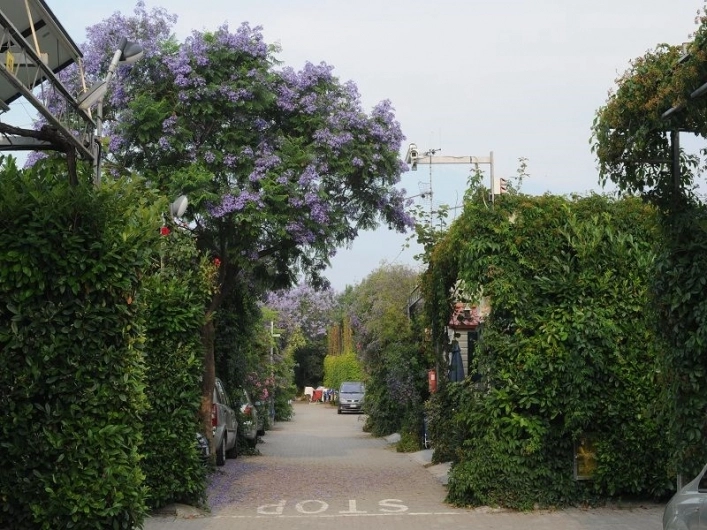 zobacz camping - zdjęcie 10