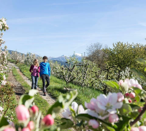 zobacz camping - zdjęcie 7