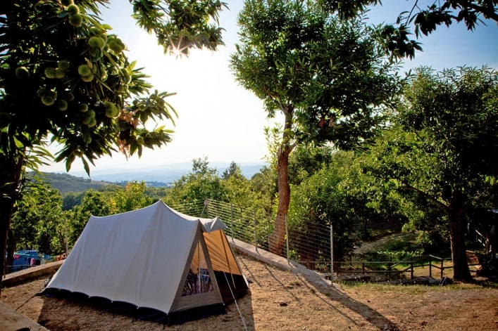 zobacz camping - zdjęcie 19