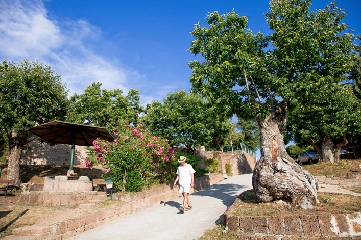 zobacz camping - zdjęcie 17