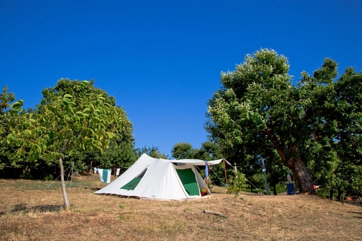 zobacz camping - zdjęcie 14