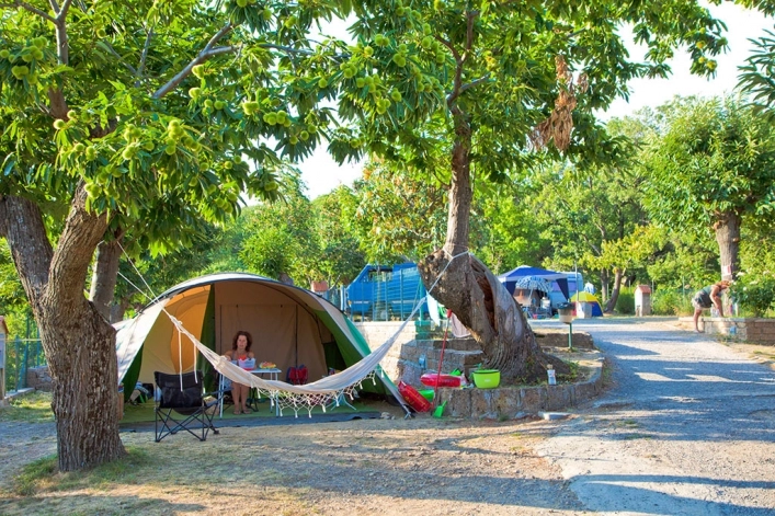 zobacz camping - zdjęcie 12