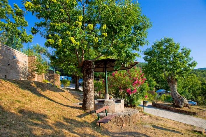 Camping Lucherino - zdjęcie 1