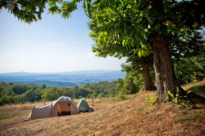 zobacz camping - zdjęcie 1