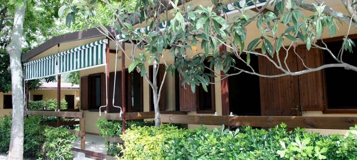 zobacz camping - zdjęcie 15