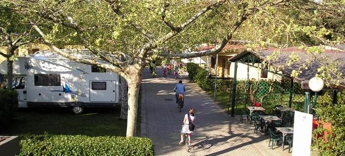 zobacz camping - zdjęcie 9