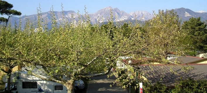 zobacz camping - zdjęcie 7