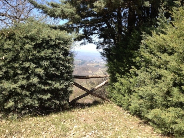 zobacz camping - zdjęcie 16