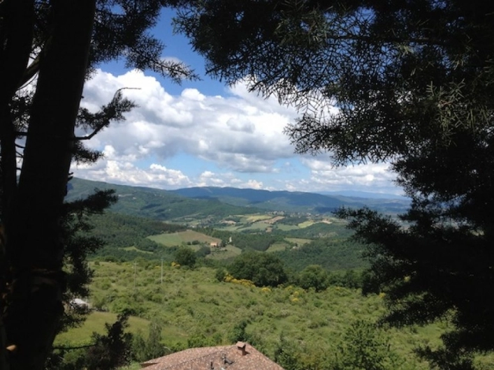 zobacz camping - zdjęcie 11