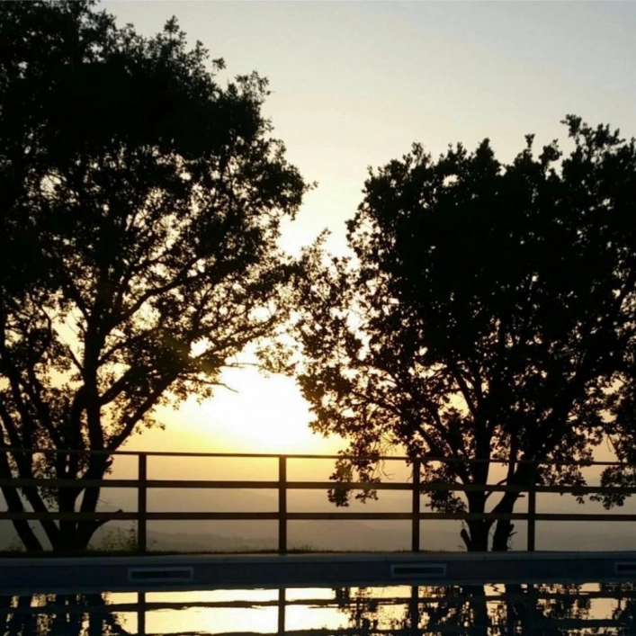 zobacz camping - zdjęcie 7