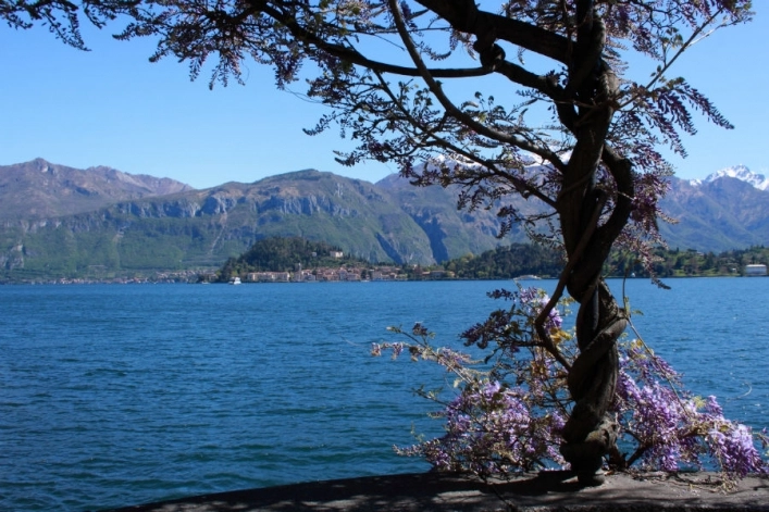 zobacz camping - zdjęcie 14