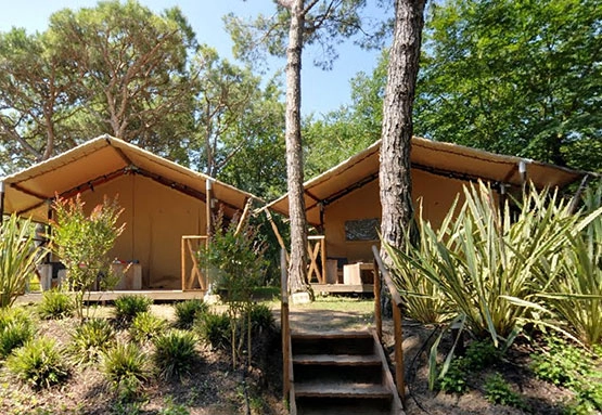 zobacz camping - zdjęcie 27