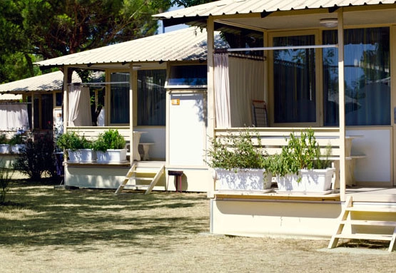 zobacz camping - zdjęcie 15