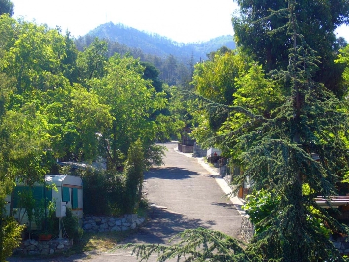 zobacz camping - zdjęcie 14