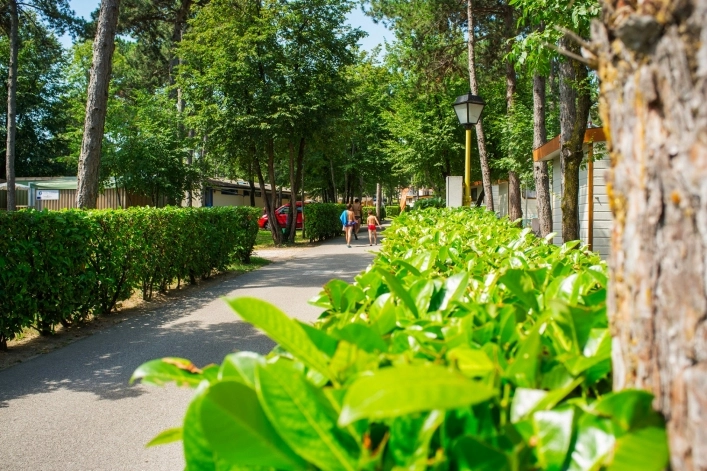 zobacz camping - zdjęcie 15