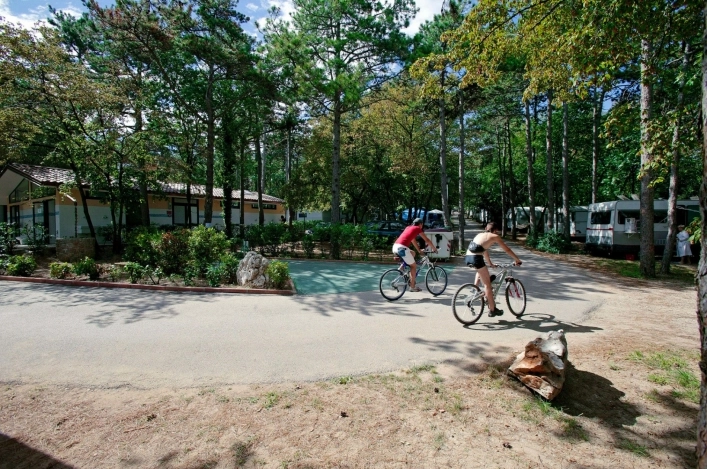 zobacz camping - zdjęcie 10