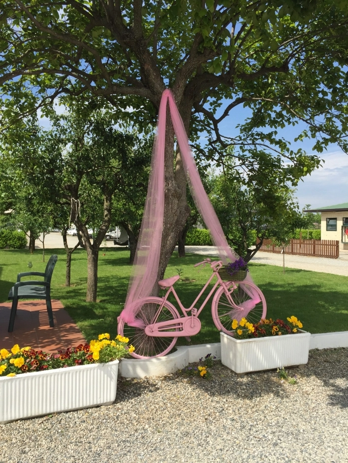 zobacz camping - zdjęcie 26