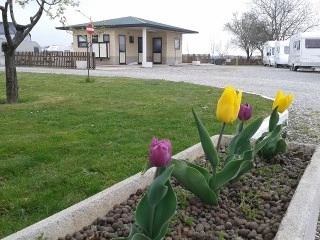 zobacz camping - zdjęcie 17