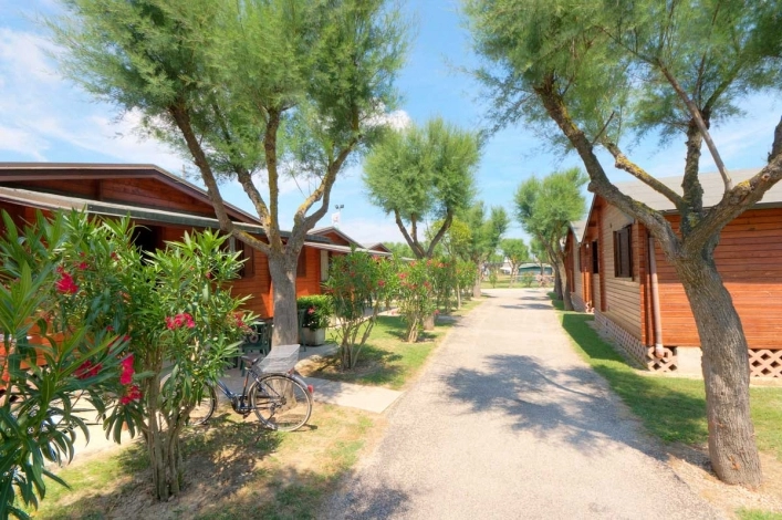 zobacz camping - zdjęcie 48