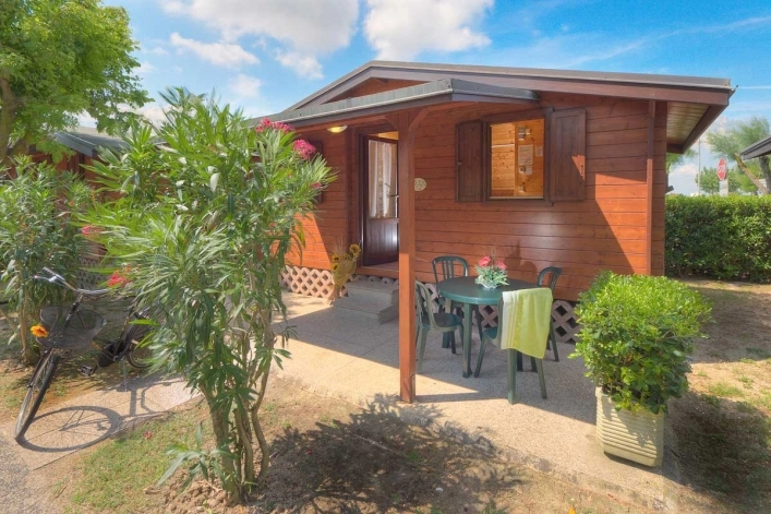 zobacz camping - zdjęcie 28