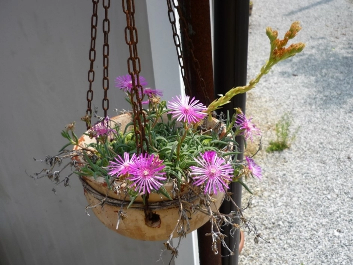 zobacz camping - zdjęcie 12