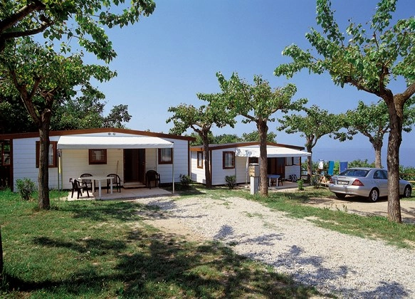 zobacz camping - zdjęcie 13