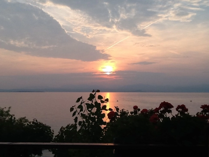 zobacz camping - zdjęcie 12