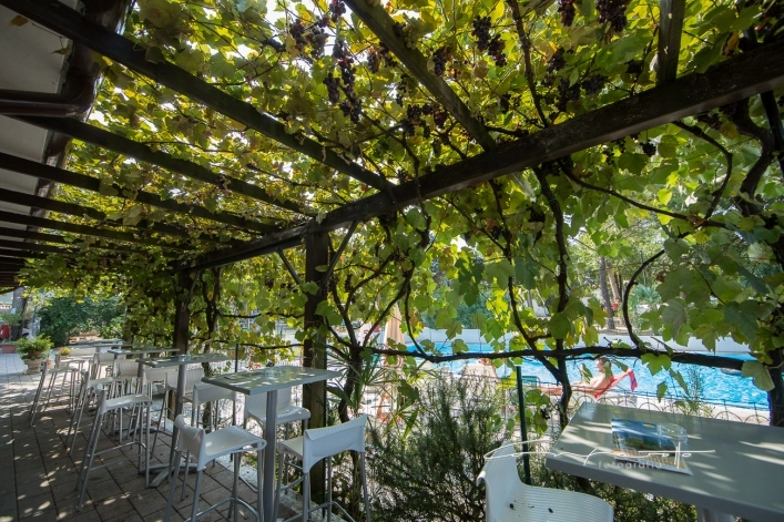 zobacz camping - zdjęcie 21