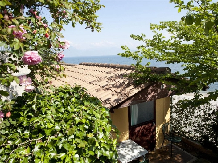 zobacz camping - zdjęcie 19